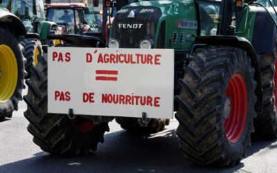 Interview : « La révolte des agriculteurs est légitime ! »